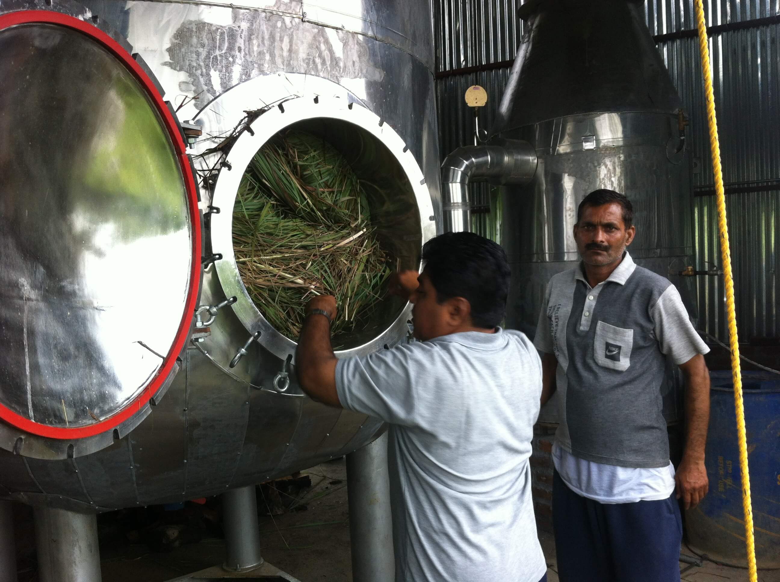 extraction of essential oils extraction of essential oils