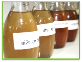 NATURAL VINEGAR PRODUCTION NATURAL VINEGAR PRODUCTION