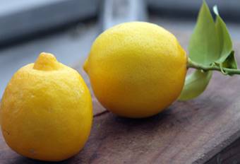 HILL LEMON HILL LEMON